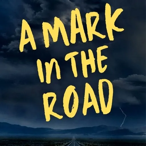 Skid Marks On A Road by Alan Sirulnikoff
