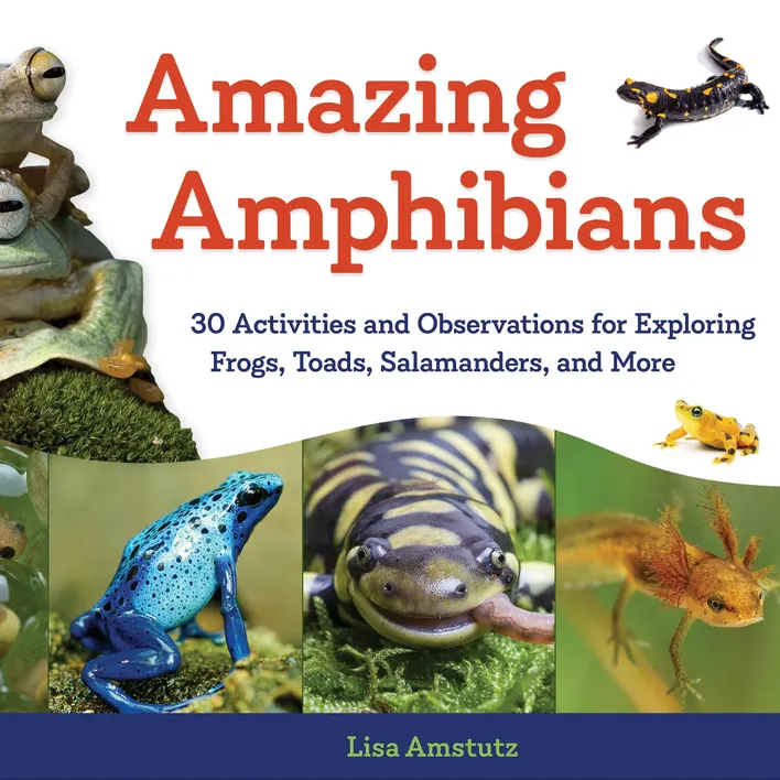 Amazing Amphibians image.webp