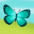 Butterfly.png