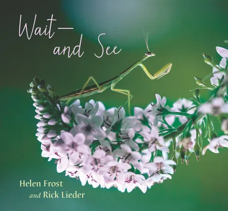 Helen Frost-Wait and See.jpg