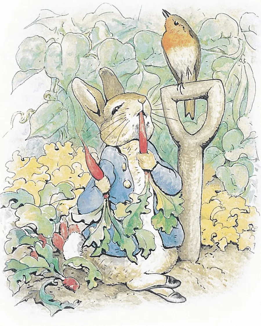 Peter Rabbit.jpg