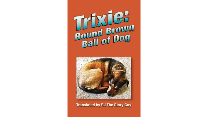 Trixie Round Brown Ball of Dog.png