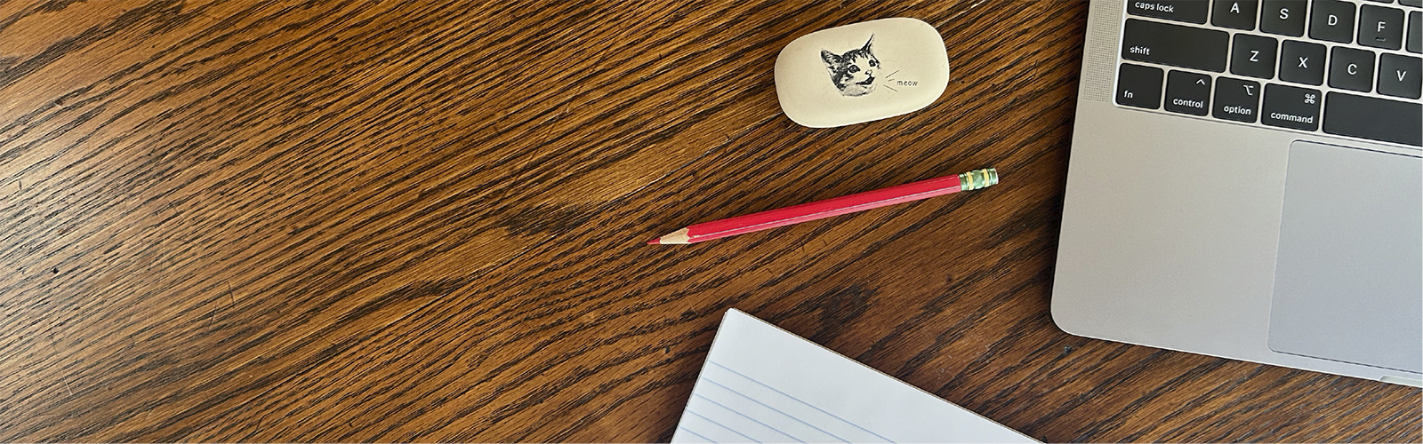 notebook-laptop-cat eraser header.png